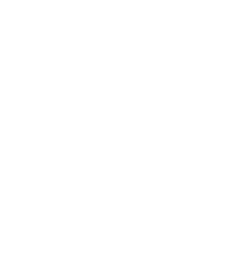 BLESINK_LOGO-B2-VERT